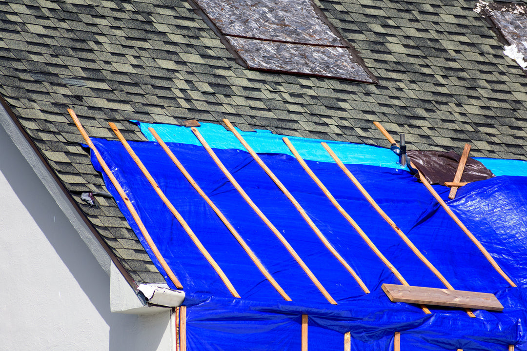 6" x 8"  PREMIUM TARP